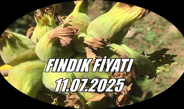 Fındık Fiyatı 11 Temmuz 2025 Cuma