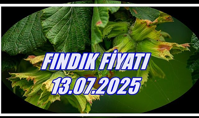 Fındık Fiyatı 13 Temmuz 2025 Pazar