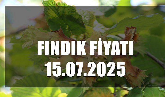 Fındık Fiyatı 15 Temmuz 2025 Salı