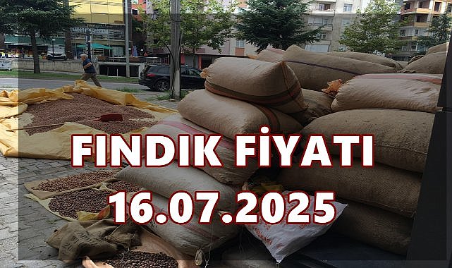Fındık Fiyatı 16 Temmuz 2025 Çarşamba