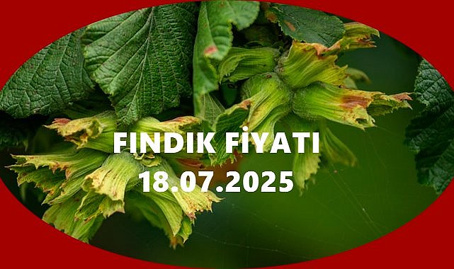 Fındık Fiyatı 18 Temmuz 2025 Cuma