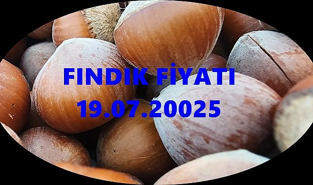 Fındık Fiyatı 19 Temmuz 2025 Cumartesi