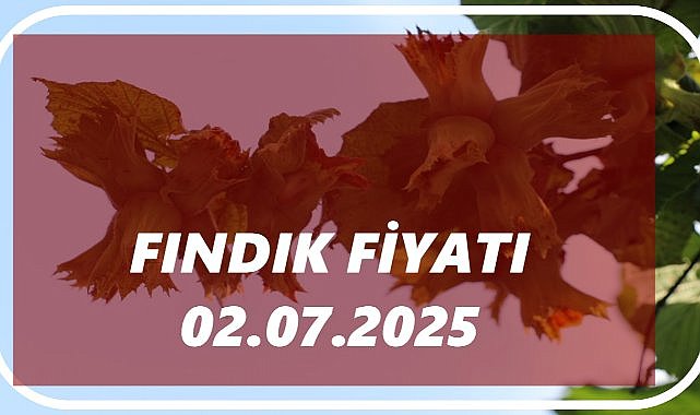 Fındık Fiyatı 2 Temmuz 2025 Çarşamba