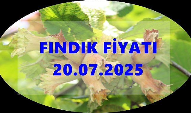 Fındık Fiyatı 20 Temmuz 2025 Pazar