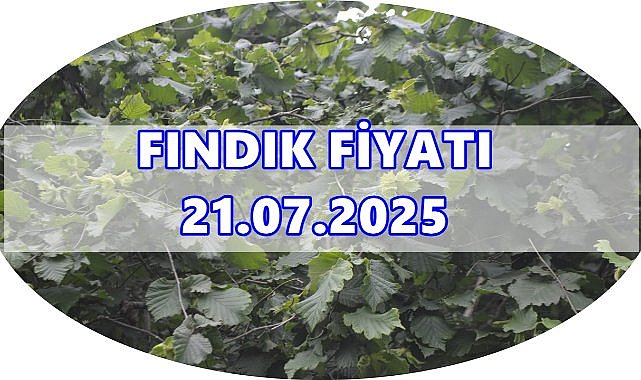 Fındık Fiyatı 21 Temmuz 2025 Pazartesi