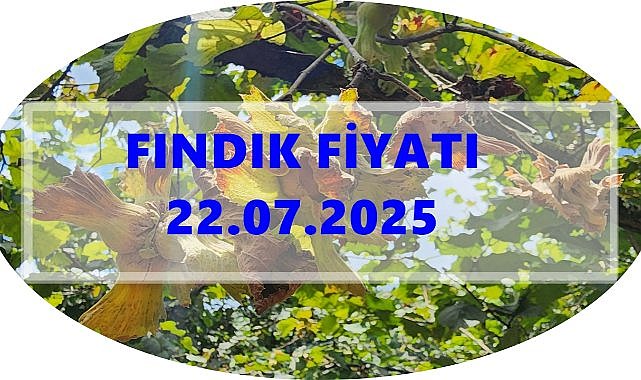 Fındık Fiyatı 22 Temmuz 2025 Salı