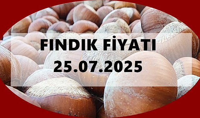 Fındık Fiyatı 25 Temmuz 2025 Cuma