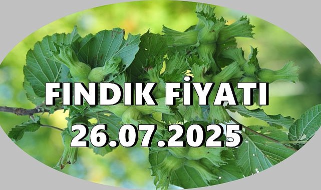 Fındık Fiyatı 26 Temmuz 2025 Cumartesi