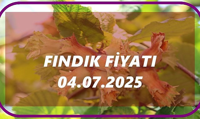Fındık Fiyatı 4 Temmuz 2025 Cuma