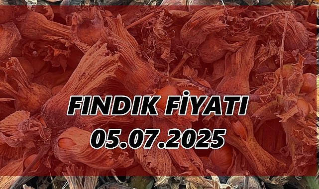 Fındık Fiyatı 5 Temmuz 2025 Cumartesi