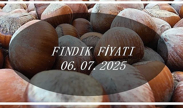 Fındık Fiyatı 6 Temmuz 2025 Pazar