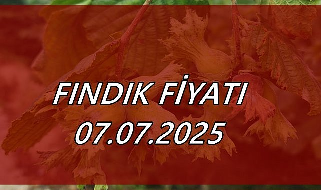 Fındık Fiyatı 7 Temmuz 2025 Pazartesi
