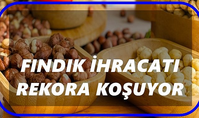 Fındık İhracatında 3 Yılın Zirvesi:10 Ayda 2,27 Milyar Dolar Gelir!