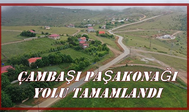 Karadeniz’in Yaylaları Birleşiyor: Ordu-Giresun Arası Yeni Yol Konforu