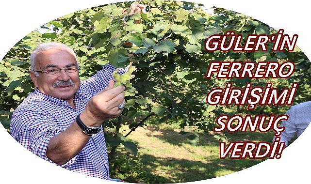 Mahkemeden Ferrero Kararı! Hilmi Güler’in Girişimiyle Tarihi Adım