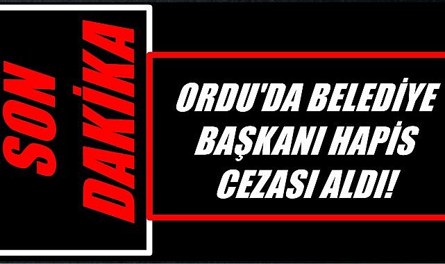 Ordu&#039;da Belediye Başkanı 4 Yıl 2 Ay Hapis Cezası Aldı