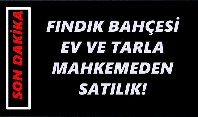 Ordu’da Fındık Bahçesi, Tarla ve Evler Açık Artırmayla Satılıyor!