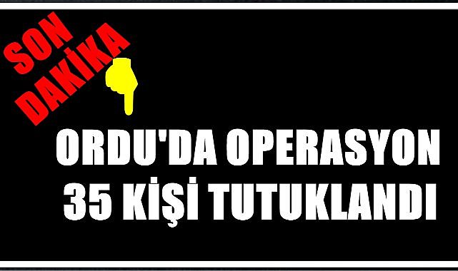 Ordu&#039;da Polis ve Jandarmadan Ortak Operasyon: 35 Tutuklama