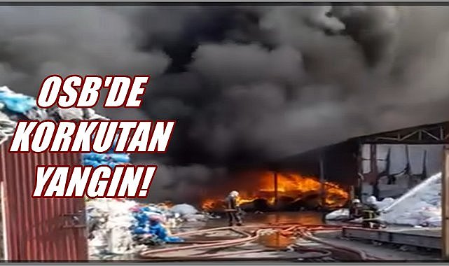 Ordu OSB’de Korkutan Yangın! Geri Dönüşüm Fabrikası Alev Alev Yandı
