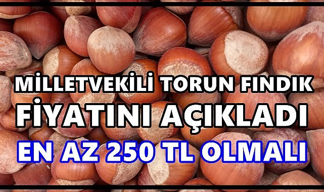 Seyit Torun Fındık Fiyatını Açıkladı: En Az 250 TL Olmalı!