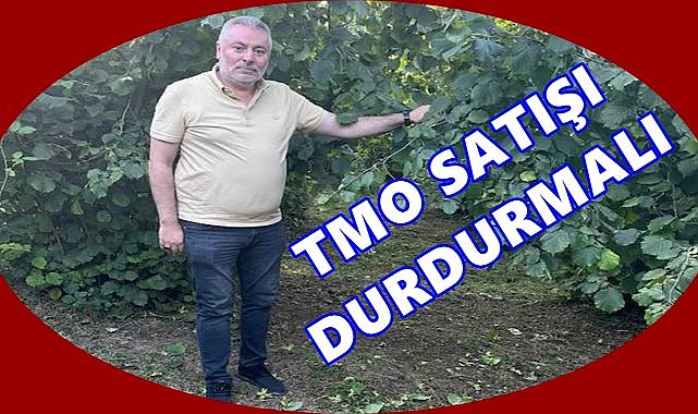 Tarım Bakanlığına Çağrı: Fındık Piyasasında Denge İçin TMO Satışları Durmalı