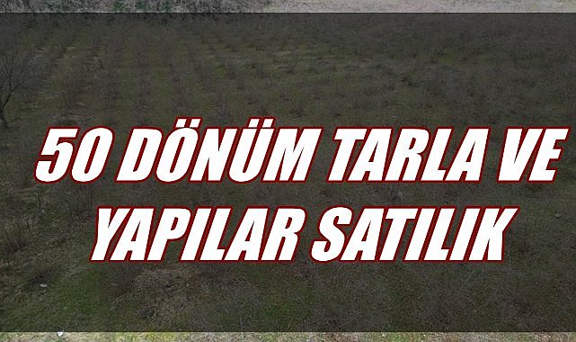 Ünye&#039;de 50 Dönümlük Tarla ve Üzerindeki Yapılar Satışa Çıkarıldı