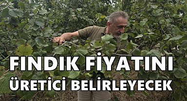 Adıgüzel: Fındıkta Fiyatı Bu Yıl Üretici Belirleyecek