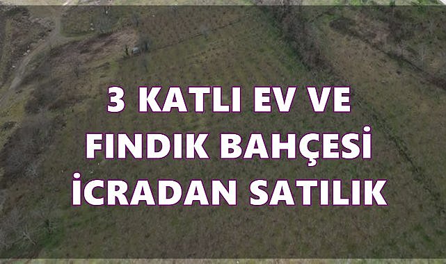 Çatalpınar’da 3 Katlı Ev ve Fındık Bahçesi İcradan Satışa Çıkıyor