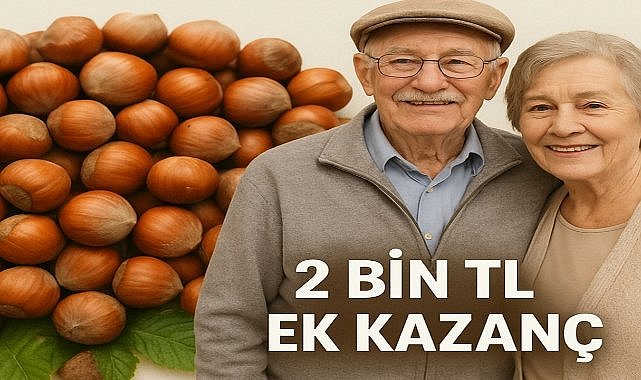 Emekli Üreticilere Fındıkta Ton Başına 2 Bin TL Ek Kazanç