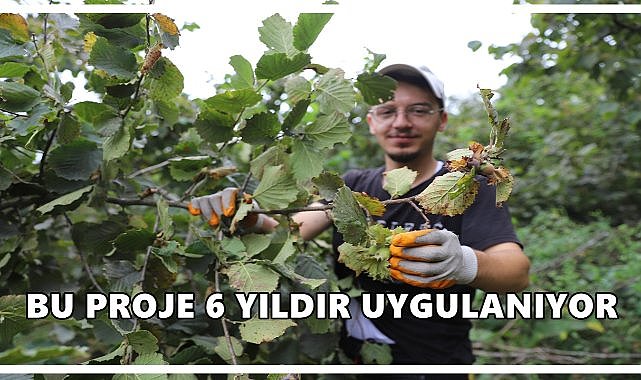“Fındık Dalda Aklın İşçide Kalmasın” Projesi 6’ncı Yılında da Kazandırıyor