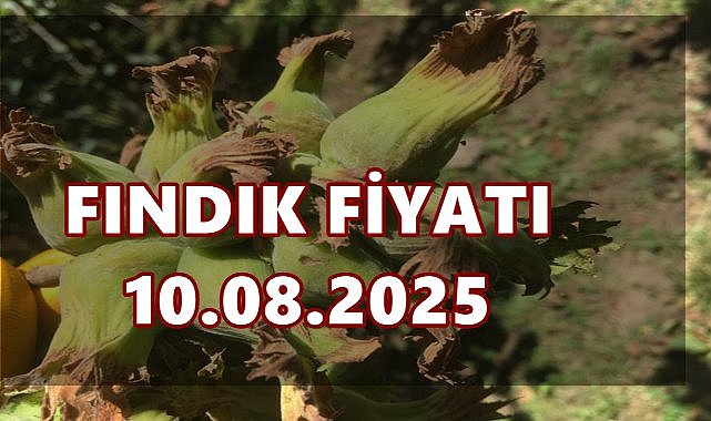 Fındık Fiyatı 10 Ağustos 2025 Pazar