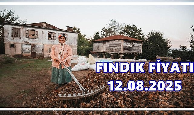 Fındık Fiyatı 12 Ağustos 2025 Salı