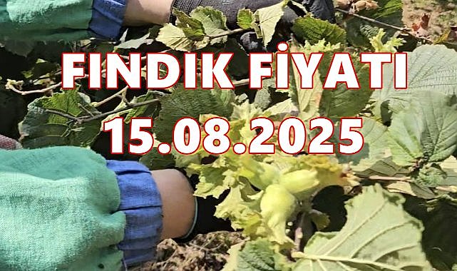 Fındık Fiyatı 15 Ağustos 2025 Cuma