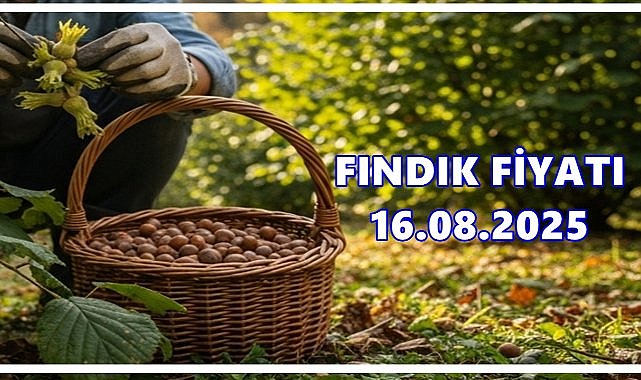 Fındık Fiyatı 16 Ağustos 2025  Cumartesi