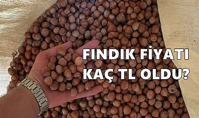 Fındık Fiyatı 17 Ağustos 2025 Pazar