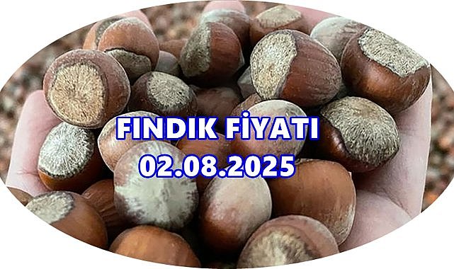 Fındık Fiyatı 2 Ağustos 2025 Cumartesi