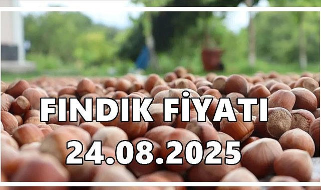 Fındık Fiyatı  24 Ağustos 2025 Pazar
