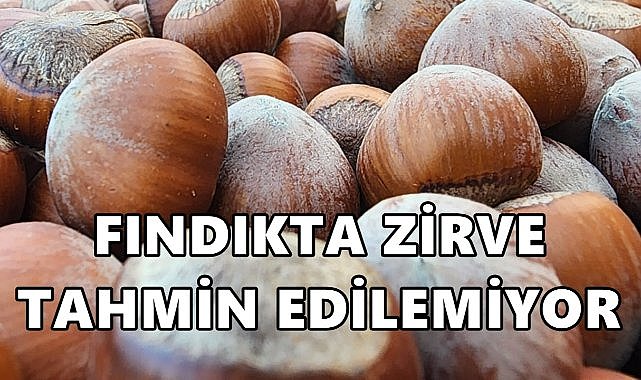 Fındık Fiyatı 27 Ağustos 2025 Çarşamba