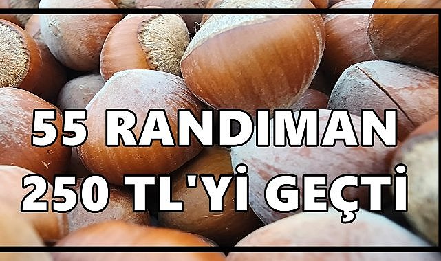 Fındık Fiyatı 28 Ağustos 2025 Perşembe