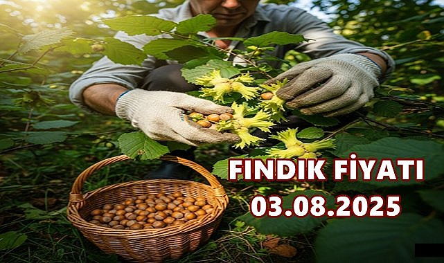 Fındık Fiyatı 3 Ağustos 2025 Pazar
