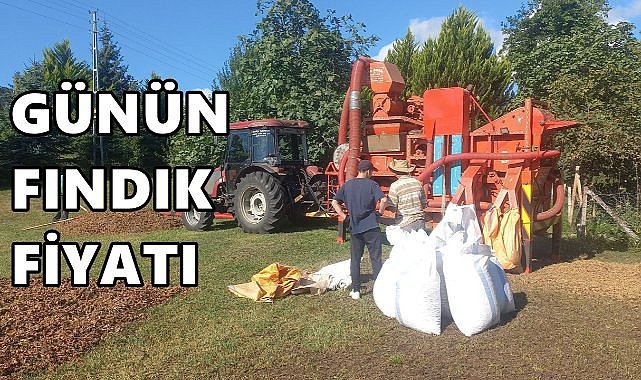 Fındık Fiyatı 31 Ağustos 2025 Pazar