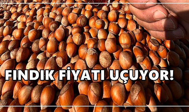Fındık Fiyatları Uçuşa Geçti: Zirveyi Görecek