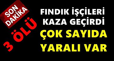 Fındık İşçilerini Taşıyan Minibüs Kaza Yaptı: 3 Ölü, 18 Yaralı