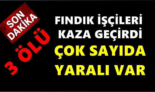 Fındık İşçilerini Taşıyan Minibüs Kaza Yaptı: 3 Ölü, 18 Yaralı