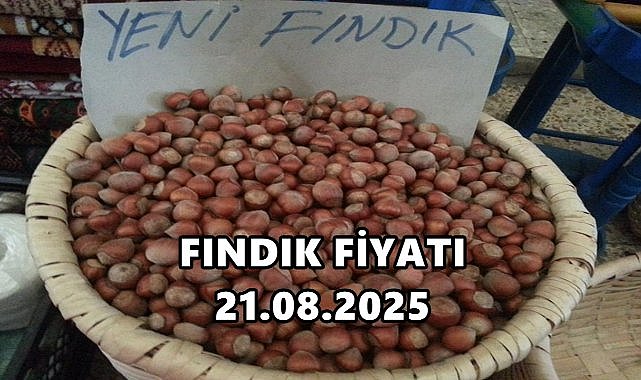 Fındık Piyasasında Hareketlilik: Fiyatlar Yükselişe Hazırlanıyor