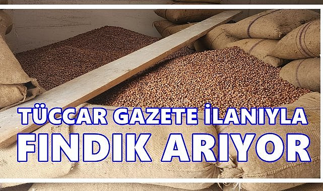 Fındık Piyasasında Yarış Başladı: Tüccar Gazete İlanıyla Fındık Arıyor
