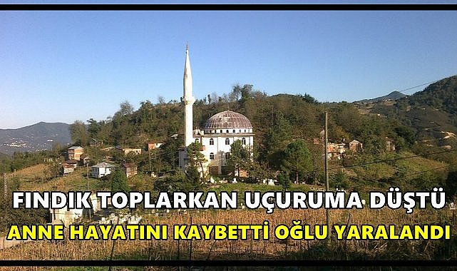 Fındık Toplarken Uçuruma Düştü: Anne Hayatını Kaybetti, Oğlu Ağır Yaralandı