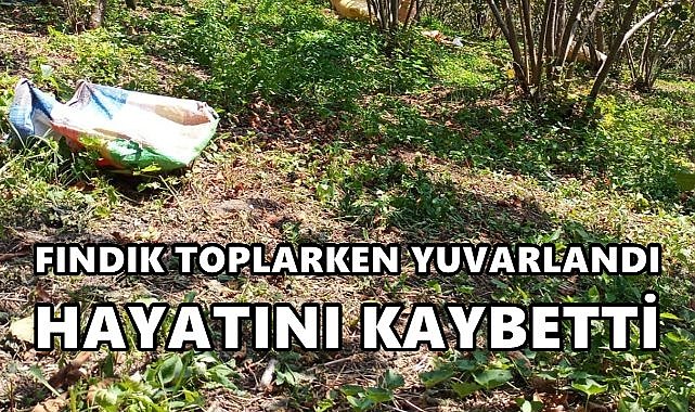 Fındık Toplarken Yuvarlanan Kişi  Hayatını Kaybetti