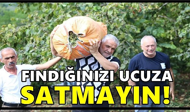  Fındık Üreticilerine Uyarı: Fındığınızı Ucuza Satmayın