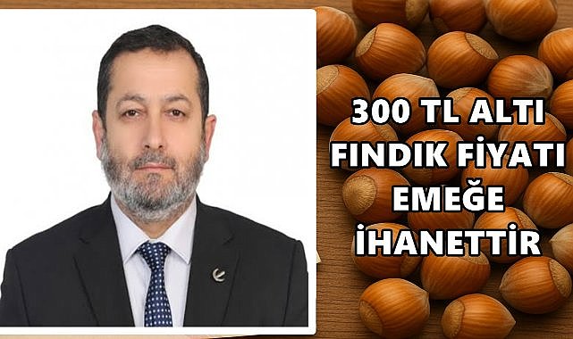Fındıkta 300 TL Altı Her Fiyat, Üreticiye Bir Darbe Daha